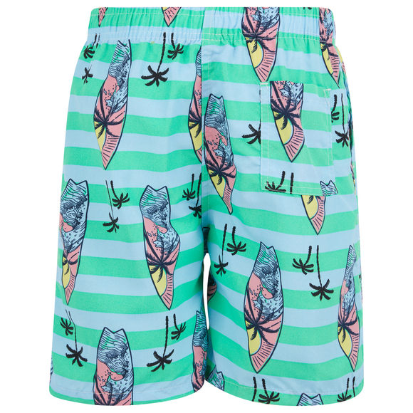 Boys Swim Trunks, Swimsuit Board Shorts, Elastic Bathing Suit, Surfing - Picture 4 of 5